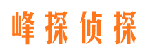 枞阳市侦探调查公司